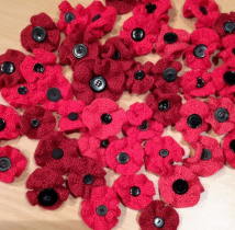 TVK poppies