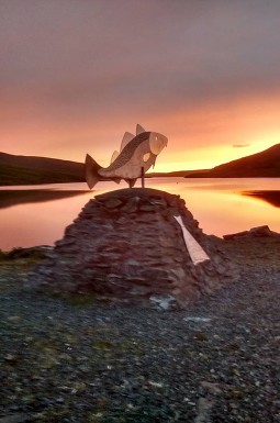 shetland